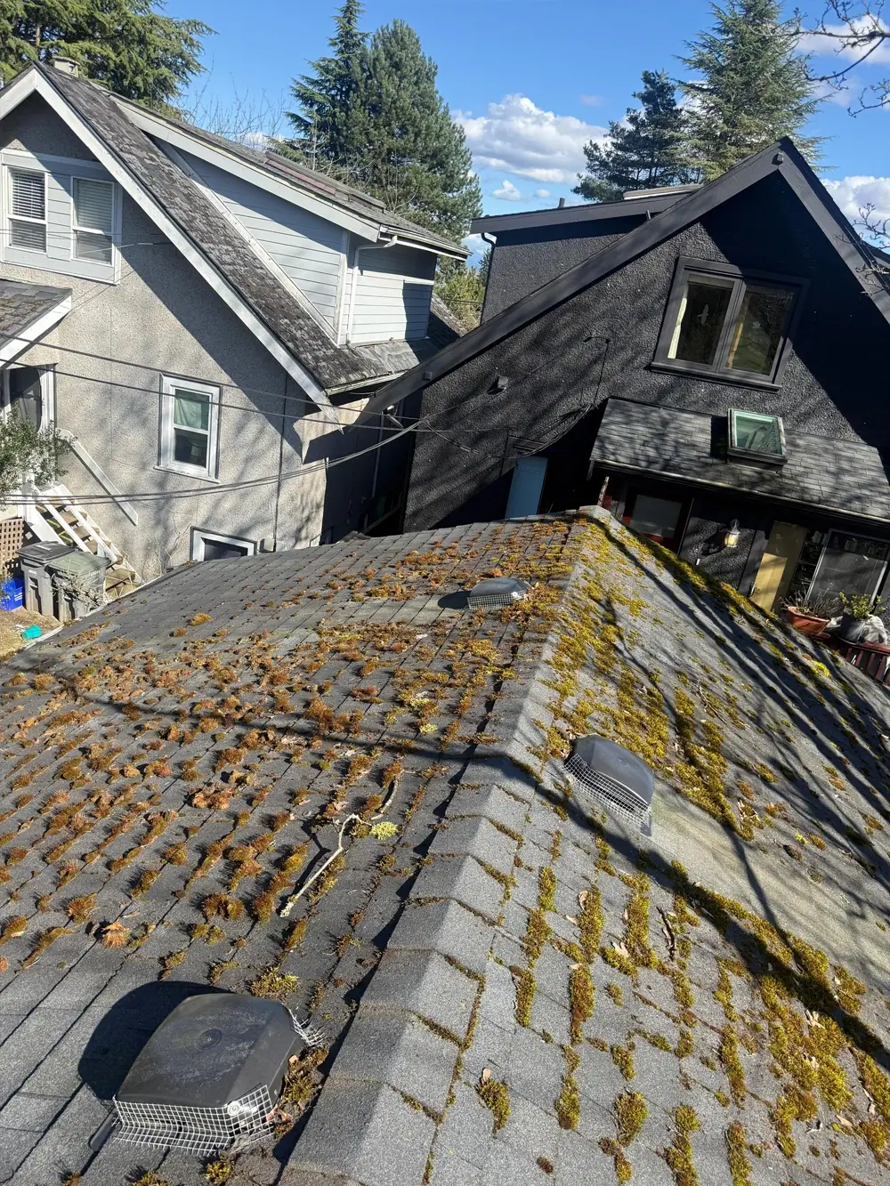 Before Cleaning